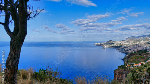 Blick auf Funchal, Madeira