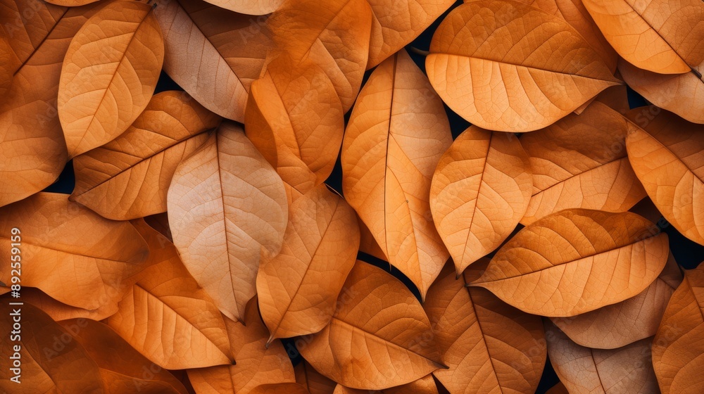 Natural composition of dry orange leaves creating an abstract pattern Natural composition of dry orange leaves creating an abstract pattern