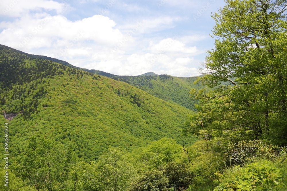 Obraz premium Area of Blue Ridge Parkway – USA