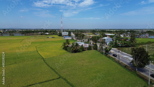 Fotografie landscape with green ricefield and blue sky