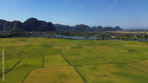 Fotografie landscape with green ricefield and blue sky