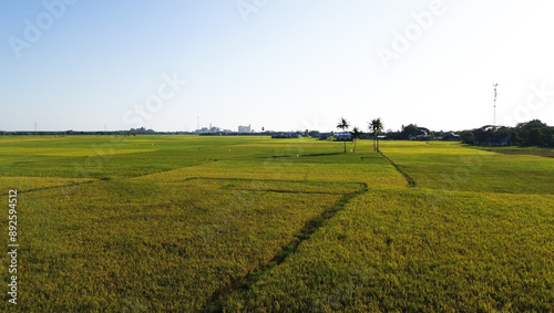 Obraz na plátně landscape with green ricefield and blue sky