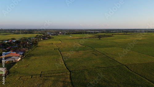 Obraz na plátně landscape with green ricefield and blue sky