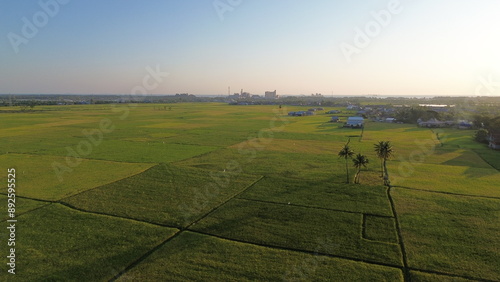 Obraz na plátně landscape with green ricefield and blue sky