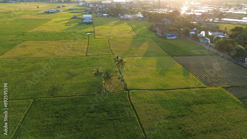 Obraz na plátně landscape with green ricefield and blue sky