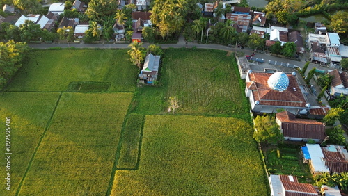 Fotografie landscape with green ricefield and blue sky