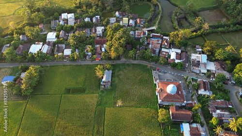 Fotografie landscape with green ricefield and blue sky