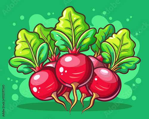 radish and lettuce  illustration Vector of fresh radish and lettuce , green isolated background, hand drawn vegetabes and fruit cartoon photo