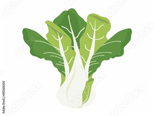 A simple illustration of a bok choy, with only one in the center, which is a symbol of art. Dynamic on a clean white background. photo