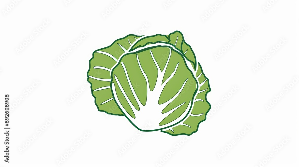 A simple illustration of a cabbage, with only one in the center of the image, is a symbol of art. Dynamic on a clean white background. A simple illustration of a cabbage, with only one in the center of the image, is a symbol of art. Dynamic on a clean white background.