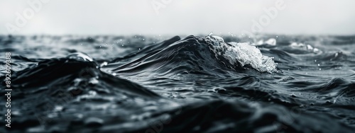  A monochrome image of a wavescapes, featuring an iceberg as its central element photo