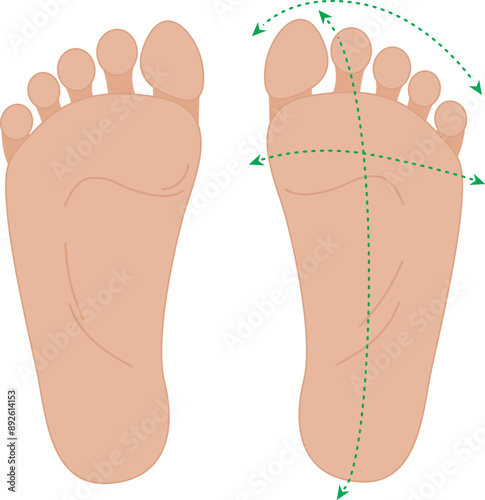 Healthy human feet. Normal foot sole. bare pair of legs. Barefoot concept.