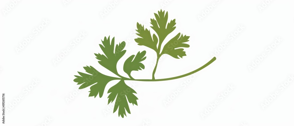 A simple illustration of a coriander, with only one in the center of the image, is a symbol of art. Dynamic on a clean white background. A simple illustration of a coriander, with only one in the center of the image, is a symbol of art. Dynamic on a clean white background.