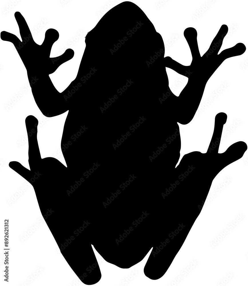 silhouette of a frog