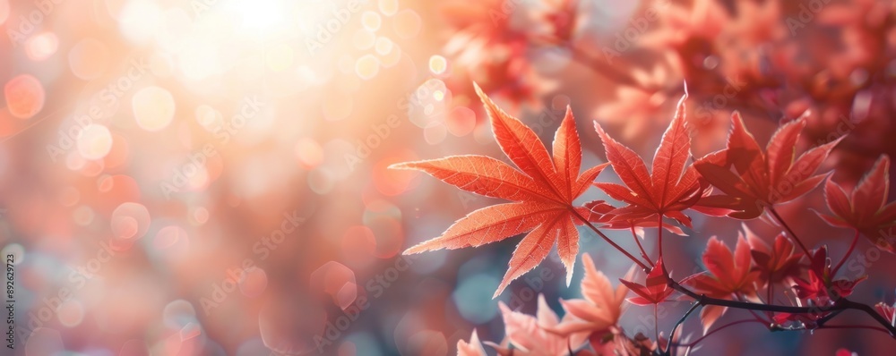 Autumn background of red leaves