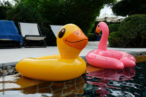 pool and inflatable rings photo