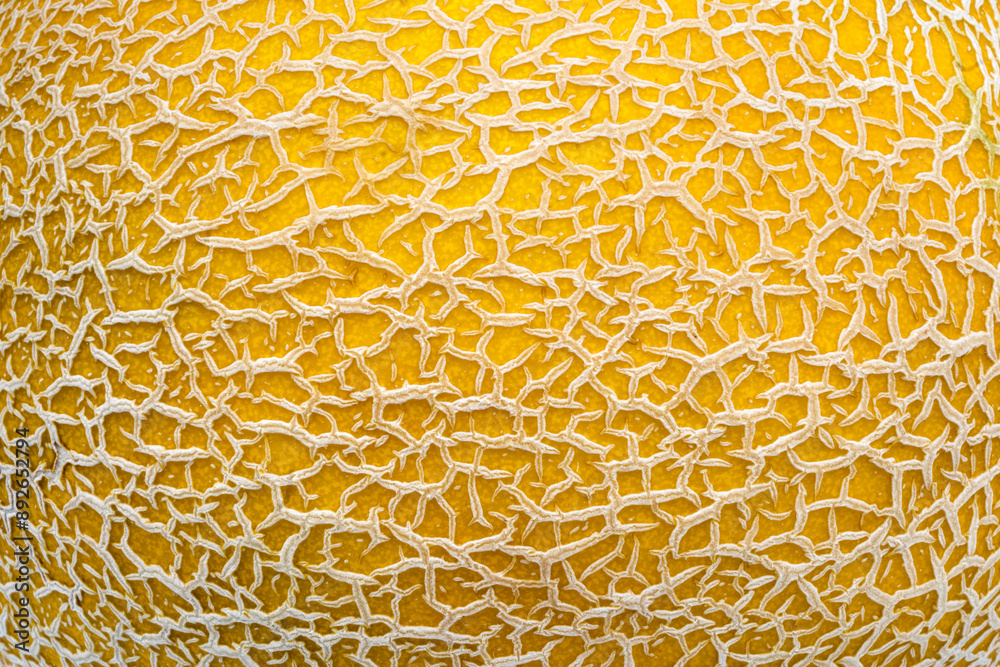 Melon skin close up and interesting effect created.