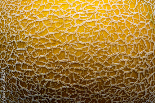 Melon skin close up and interesting effect created.
