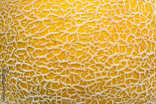 Obraz na płótnie Melon skin close up and interesting effect created.
w salonie