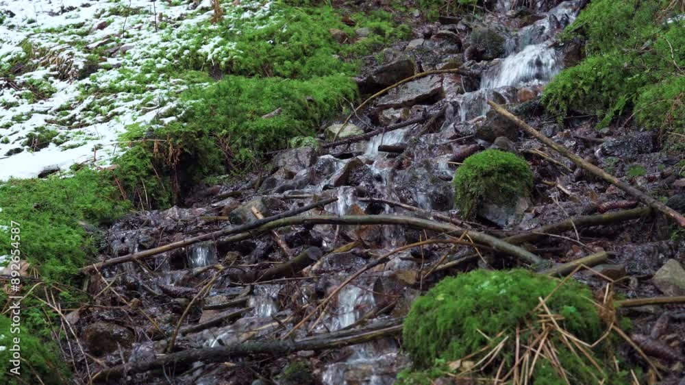 A small stream flows over rocks and through a mossy forest. The ground is covered in snow and there are fallen branches in the stream. The water is clear and cold. A small stream flows over rocks and through a mossy forest. The ground is covered in snow and there are fallen branches in the stream. The water is clear and cold.