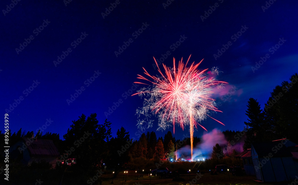 Firework 14 Firework 14