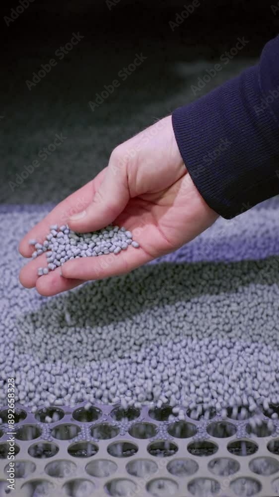 The hand touches the microplastic granules from the extruder. Plastic or polypropylene pellets on the conveyor belt of the machine. The engineer checks or inspects the raw materials for processing. The hand touches the microplastic granules from the extruder. Plastic or polypropylene pellets on the conveyor belt of the machine. The engineer checks or inspects the raw materials for processing.