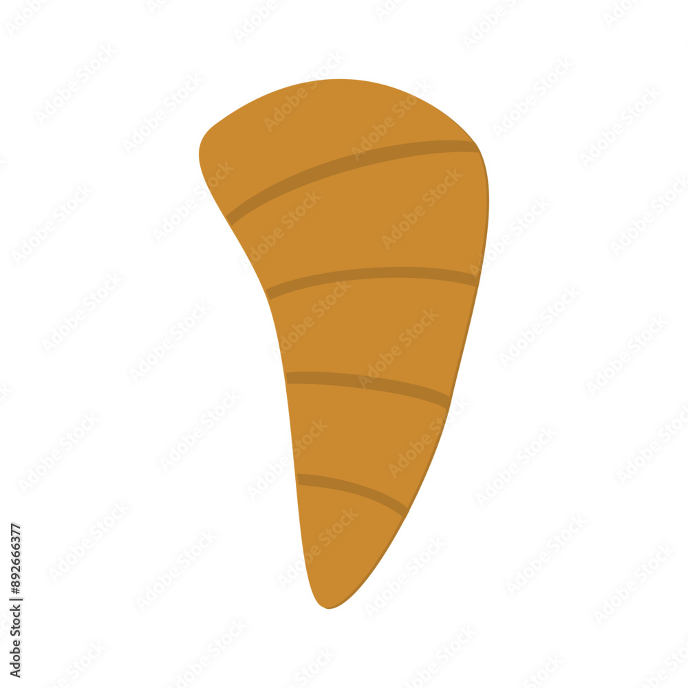 seashell vector, silhouette, vector illustration, abstract, art, 3d rendering seashell vector, silhouette, vector illustration, abstract, art, 3d rendering