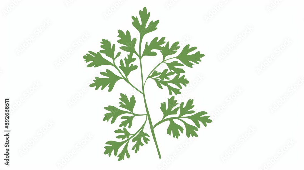 A simple illustration of a single parsley in the center is a symbol of art. Dynamic on a clean white background.