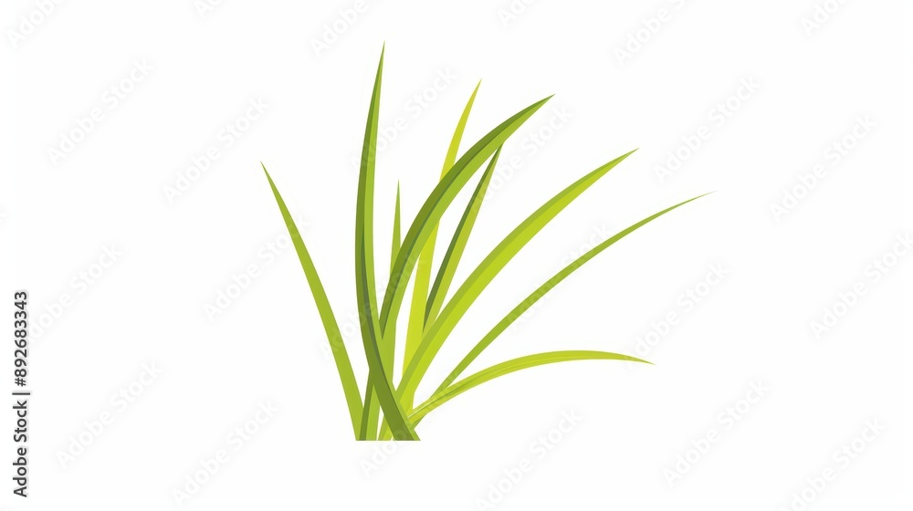 A simple illustration of lemon grass, with only one in the center of the image, is a symbol of art. Dynamic on a clean white background. A simple illustration of lemon grass, with only one in the center of the image, is a symbol of art. Dynamic on a clean white background.