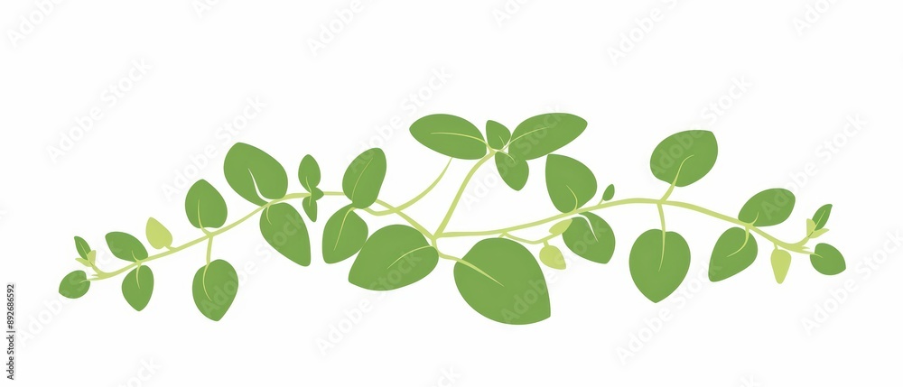 A simple illustration of oregano leaves, with only one in the center, is a symbol of art. Dynamic on a clean white background. A simple illustration of oregano leaves, with only one in the center, is a symbol of art. Dynamic on a clean white background.