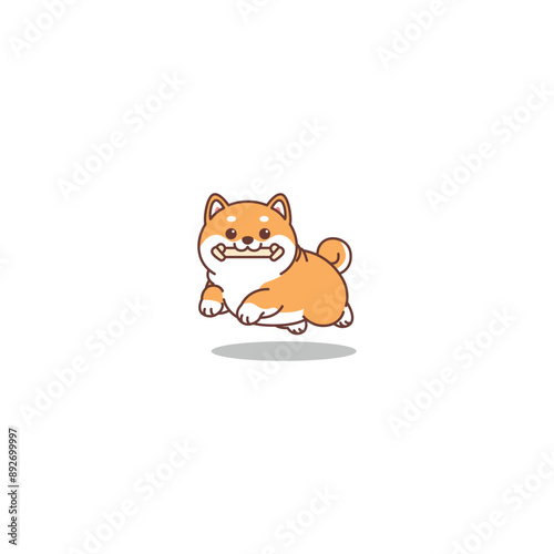 Cute shiba inu dog holding toy in mouth and jumping cartoon, vector illustration