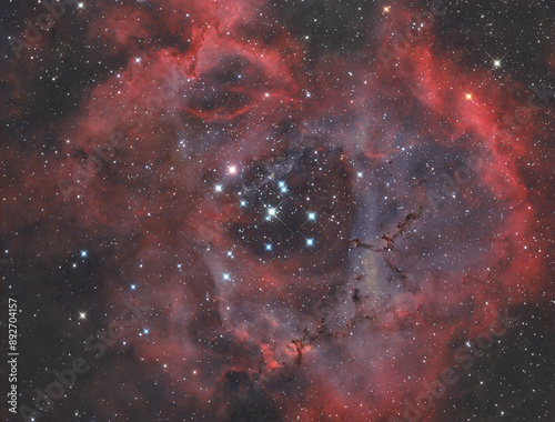 Rosette Nebula