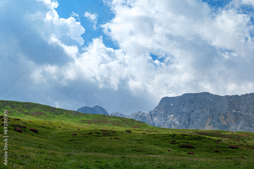 Fototapeta premium Seiser Alm (Italian: Alpe di Siusi, Ladin: Mont Sëuc) is a Dolomite plateau and the largest high-elevation Alpine meadow in Europe. Located in Italy's South Tyrol province in the Dolomites
