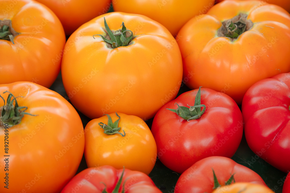 big orange tomatoes red garden fruits fresh vegetable organic food big orange tomatoes red garden fruits fresh vegetable organic food