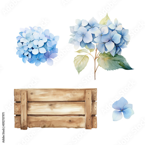 Watercolor set of  blue hydrangea branch with wooden box photo