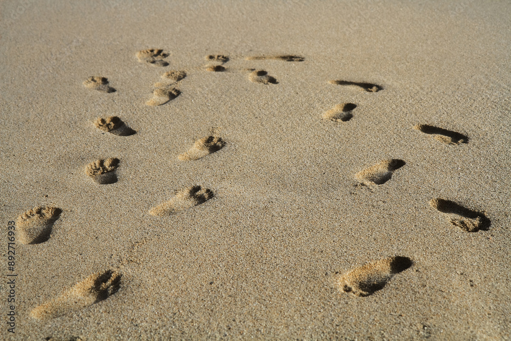 a footprint of a person's foot in the sand on the beach a footprint of a person's foot in the sand on the beach