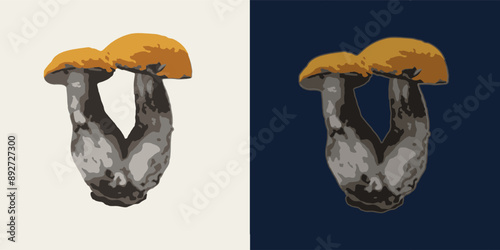 Two fused boletus mushrooms. Image tracing, cleaned and simplified illustration. Realistic style. Not AI.