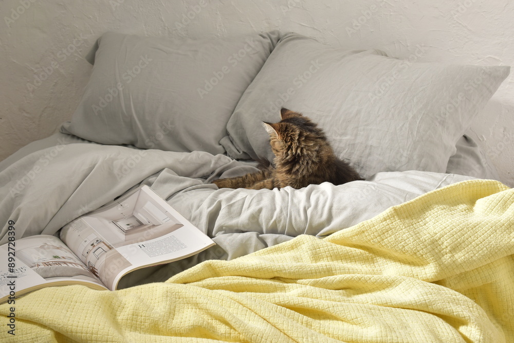 cat sleeping on bed cat sleeping on bed