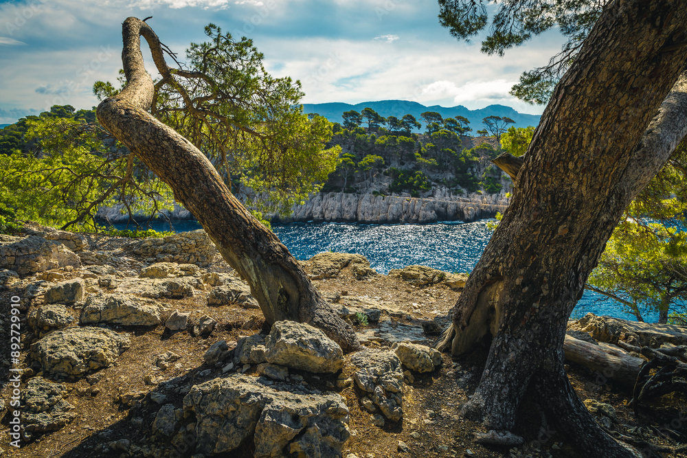 Magnificent Calanque de Port Pin bay view, Cassis, Marseille, France Magnificent Calanque de Port Pin bay view, Cassis, Marseille, France
