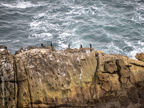 paisaje del mar con olas de fondo y pájaros en las rocas