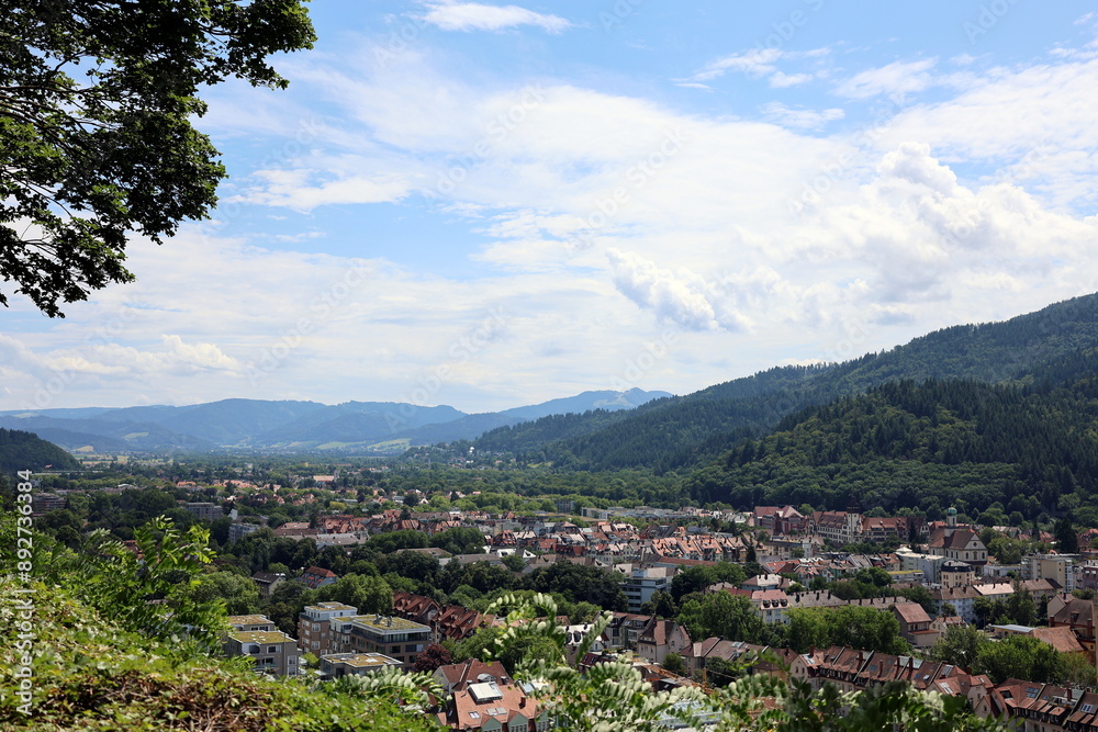 Fototapeta premium Der Osten von Freiburg und das Dreisamtal im Sommer