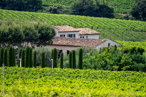 Landscape of French Riviera, view on hills, houses and green vineyards Cotes de Provence, production of rose wine near Saint-Tropez and Pampelonne beach, Var, France