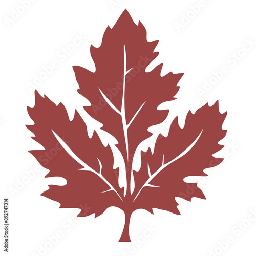 A stylized red maple leaf with multiple lobes and prominent veins. 