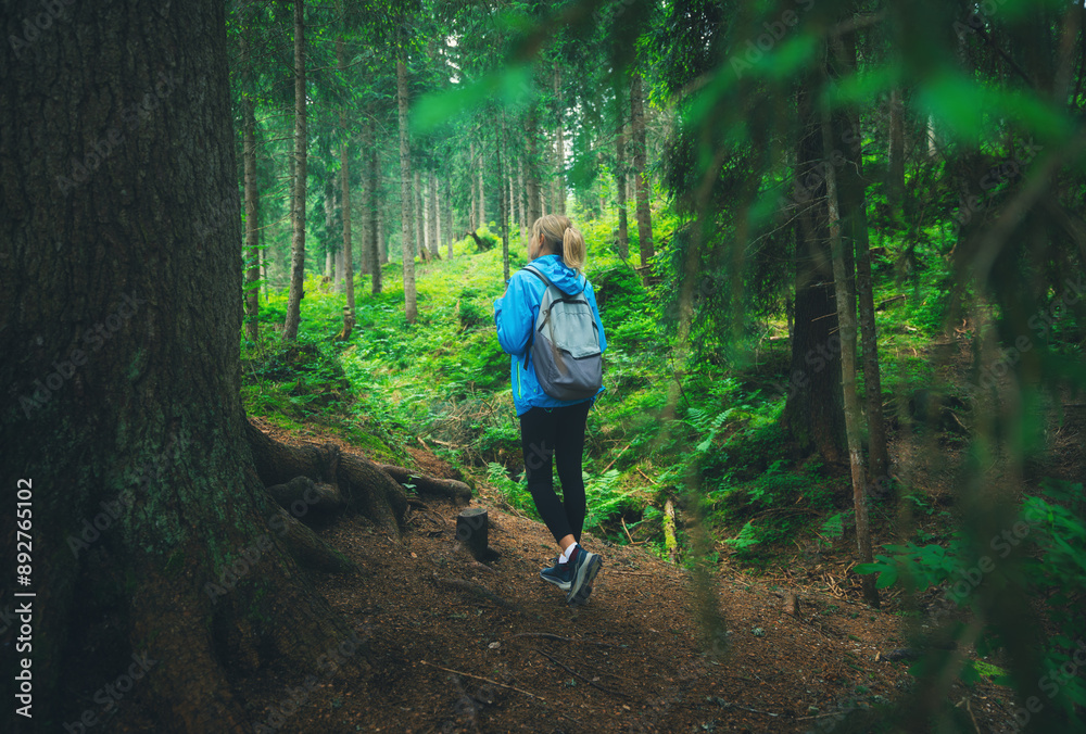Obraz premium Woman in a blue jacket with backpack is walking on a forest trail. Trees with lush green foliage in summer. Slim girl on the path. Hiking and trekking in Dolomites, Italy. Nature. Travel background