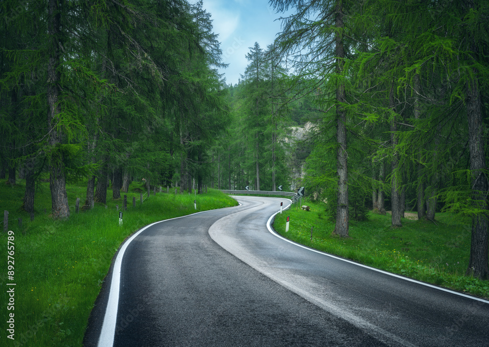 Road in green forest in summer. Dolomites, Italy. Beautiful mountain road, trees with lush foliage, grass, high rocks, blue sky with clouds. Landscape with empty curvy road in the woods. Transport Road in green forest in summer. Dolomites, Italy. Beautiful mountain road, trees with lush foliage, grass, high rocks, blue sky with clouds. Landscape with empty curvy road in the woods. Transport