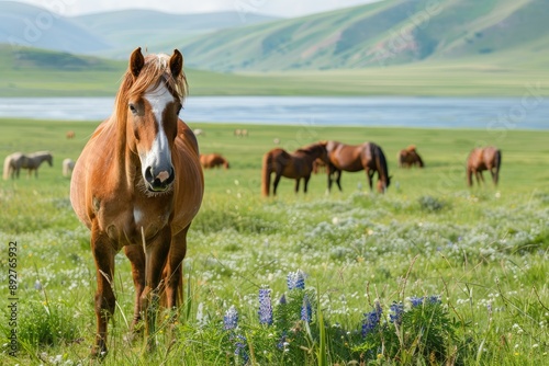 Beautiful brown horse standing in a beautiful valley, landscape, mountains , aesthetic view