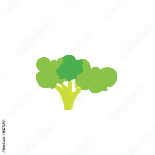 broccoli vegetable vector