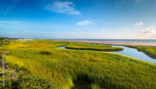 coastal marsh view along the atlantic ocean in lewes sussex country in southern delaware usa