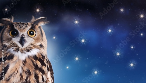 owl image with night sky and stars for all your designs © Mireya