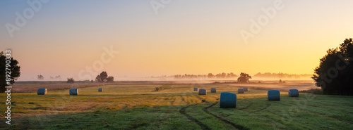 hay bales in meadow during sunset in national park weerribben wieden in dutch province of overijssel photo